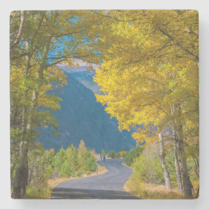 USA, Colorado. Road Flanked By Aspens Stone Coaster