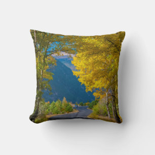 USA, Colorado. Road Flanked By Aspens Throw Pillow