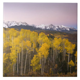 USA, Colorado, Rocky Mountains. Dawn in the San Tile