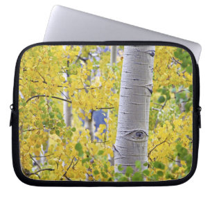 USA, Colorado, Rocky Mountains. Intimate aspen 2 Laptop Sleeve