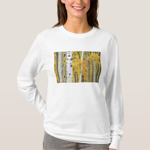 USA, Colorado, Rocky Mountains. Intimate aspen T-Shirt