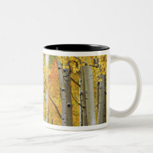 USA, Colorado, Rocky Mountains. Intimate aspen Two-Tone Coffee Mug