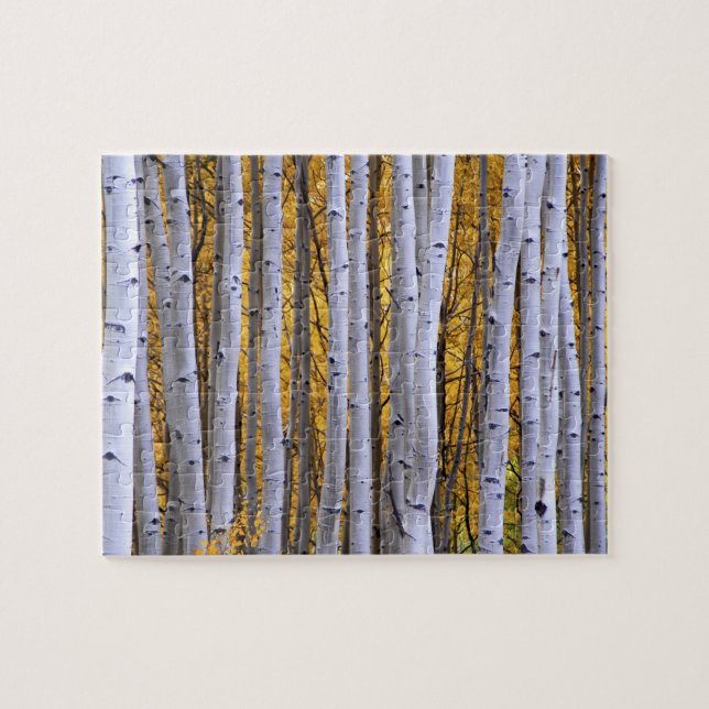 USA, Colorado, Rocky Mountains.  Intimate scene Jigsaw Puzzle (Horizontal)