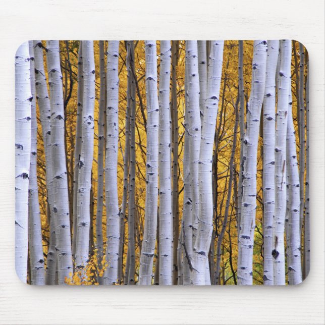 USA, Colorado, Rocky Mountains.  Intimate scene Mouse Pad (Front)