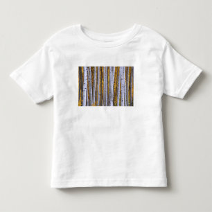 USA, Colorado, Rocky Mountains. Intimate scene Toddler T-shirt
