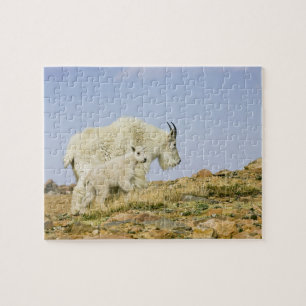 USA, Colorado, Rocky Mountains, Mount Evans, Jigsaw Puzzle