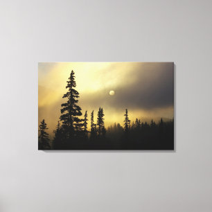 USA, Colorado, San Isabel National Forest. Canvas Print