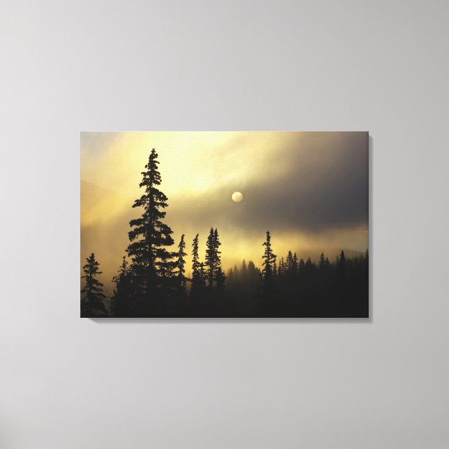 USA, Colorado, San Isabel National Forest. Canvas Print (Front)