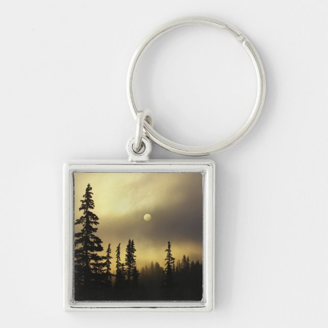 USA, Colorado, San Isabel National Forest. Keychain (Front)