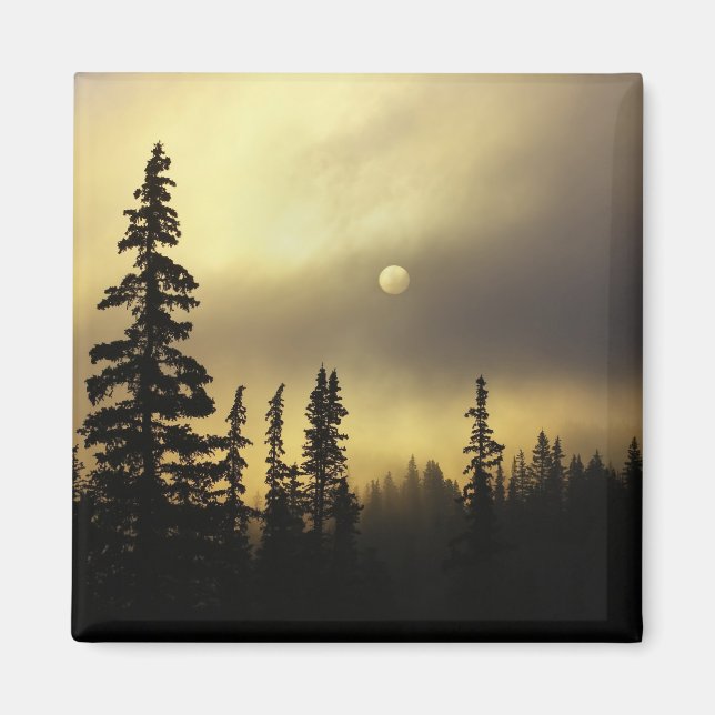 USA, Colorado, San Isabel National Forest. Magnet (Front)