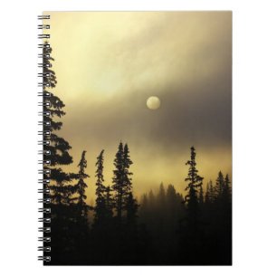 USA, Colorado, San Isabel National Forest. Notebook
