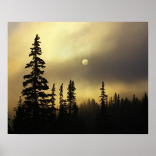 USA, Colorado, San Isabel National Forest. Poster