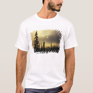 USA, Colorado, San Isabel National Forest. T-Shirt