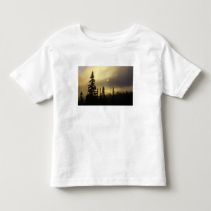 USA, Colorado, San Isabel National Forest. Toddler T-shirt