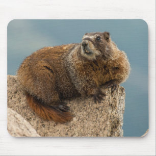 USA, Colorado, San Juan Mountains 2 Mouse Pad