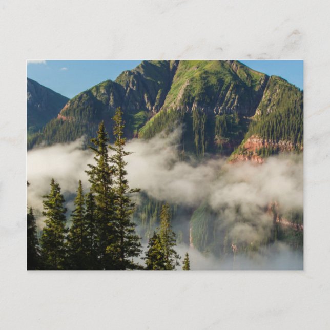 USA, Colorado, San Juan Mountains. Clearing Postcard (Front)