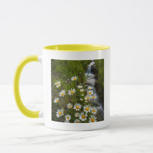 USA, Colorado, San Juan Mountains. Daisies Mug