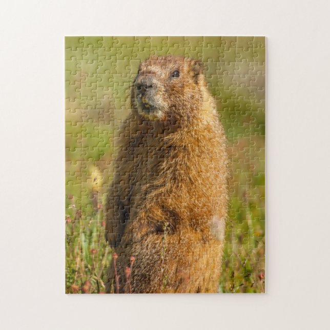 USA, Colorado, San Juan Mountains Jigsaw Puzzle (Vertical)