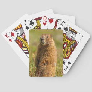USA, Colorado, San Juan Mountains Playing Cards