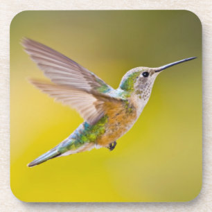 USA, Colorado, Summit County, Heeney. Side view Coaster