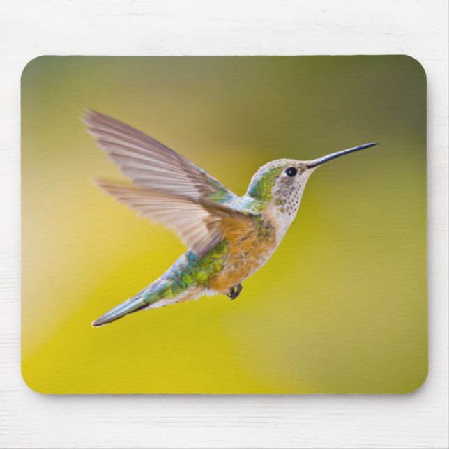 USA, Colorado, Summit County, Heeney. Side view Mouse Pad (Front)