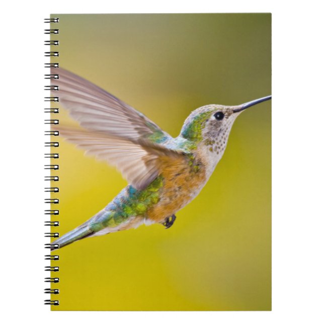 USA, Colorado, Summit County, Heeney. Side view Notebook (Front)