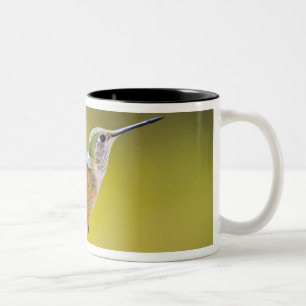 USA, Colorado, Summit County, Heeney. Side view Two-Tone Coffee Mug