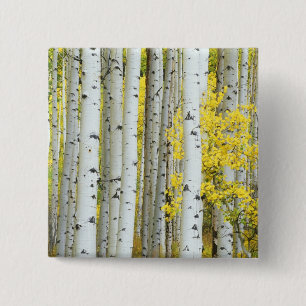 USA, Colorado, White River National Forest, 2 Inch Square Button