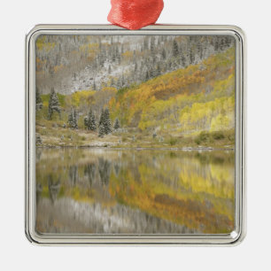 USA, Colorado, White River National Forest, 2 Metal Ornament