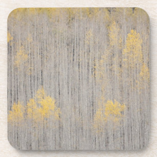 USA, Colorado, White River National Forest. Coaster