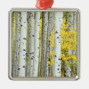 USA, Colorado, White River National Forest, Metal Ornament