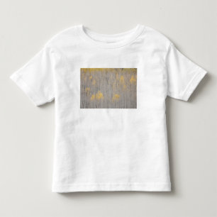 USA, Colorado, White River National Forest. Toddler T-shirt