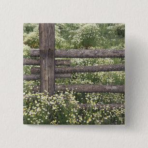 USA, Colorado, Wild Chamomile around log fence 2 Inch Square Button