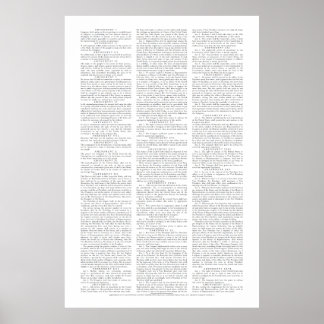USA Constitutional Amendments Poster
