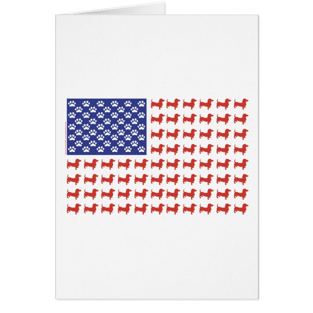 USA Dachshund (Devant)