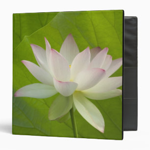 USA, DC, Washington, Kenilworth Aquatic Binder