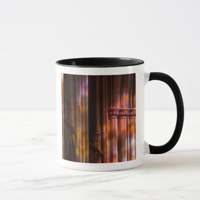 USA, DC, Washington, Washington National Mug (Right)