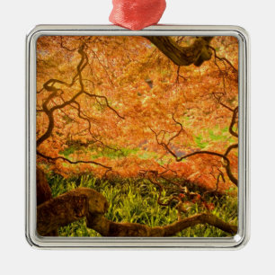USA, Delaware, Wilmington. Japanese maple Metal Ornament