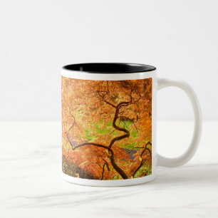 USA, Delaware, Wilmington. Japanese maple Two-Tone Coffee Mug
