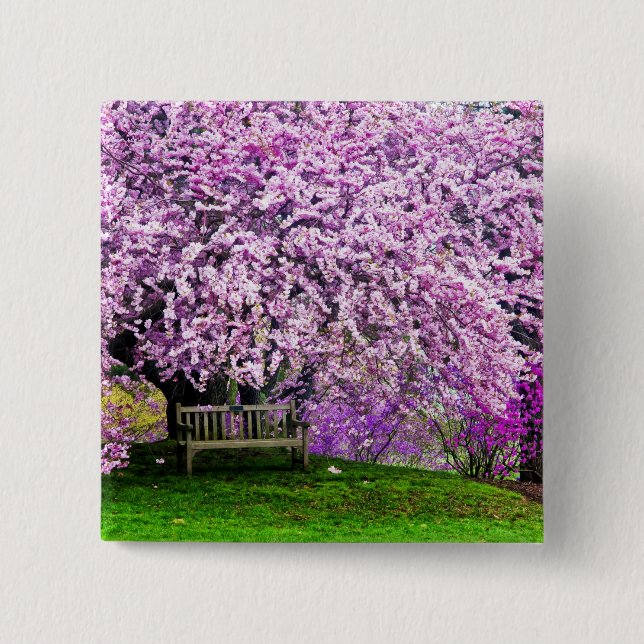 USA, Delaware, Wilmington. Wooden bench under 2 Inch Square Button (Front)