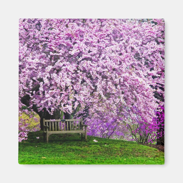 USA, Delaware, Wilmington. Wooden bench under Magnet (Front)