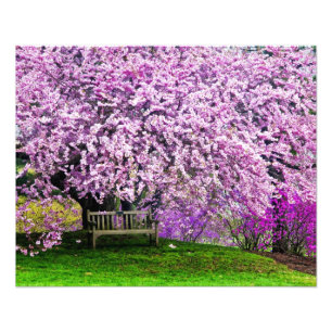 USA, Delaware, Wilmington. Wooden bench under Photo Print