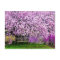 USA, Delaware, Wilmington. Wooden bench under