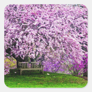 USA, Delaware, Wilmington. Wooden bench under Square Sticker