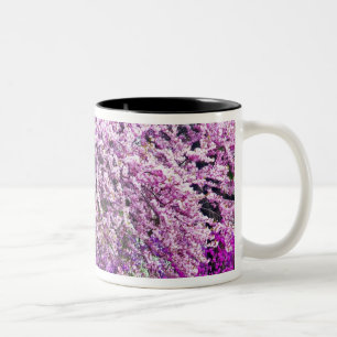 USA, Delaware, Wilmington. Wooden bench under Two-Tone Coffee Mug