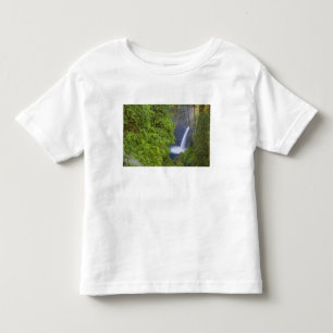 USA, Eagle Creek, Columbia Gorge, Oregon. 2 Toddler T-shirt