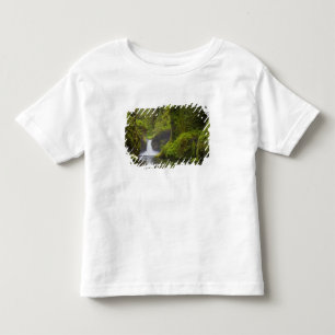 USA, Eagle Creek, Columbia Gorge, Oregon. 3 Toddler T-shirt