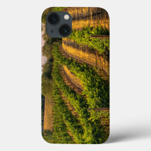 USA, Eastern Washington, Walla Walla Vineyards iPhone 13 Case