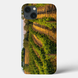 USA, Eastern Washington, Walla Walla Vineyards iPhone 13 Case