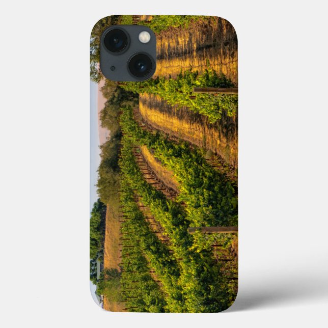 USA, Eastern Washington, Walla Walla Vineyards Case-Mate iPhone Case (Back)